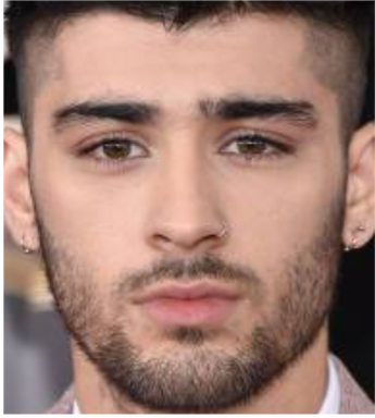 Zayn Malik