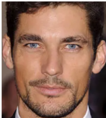 David Gandy